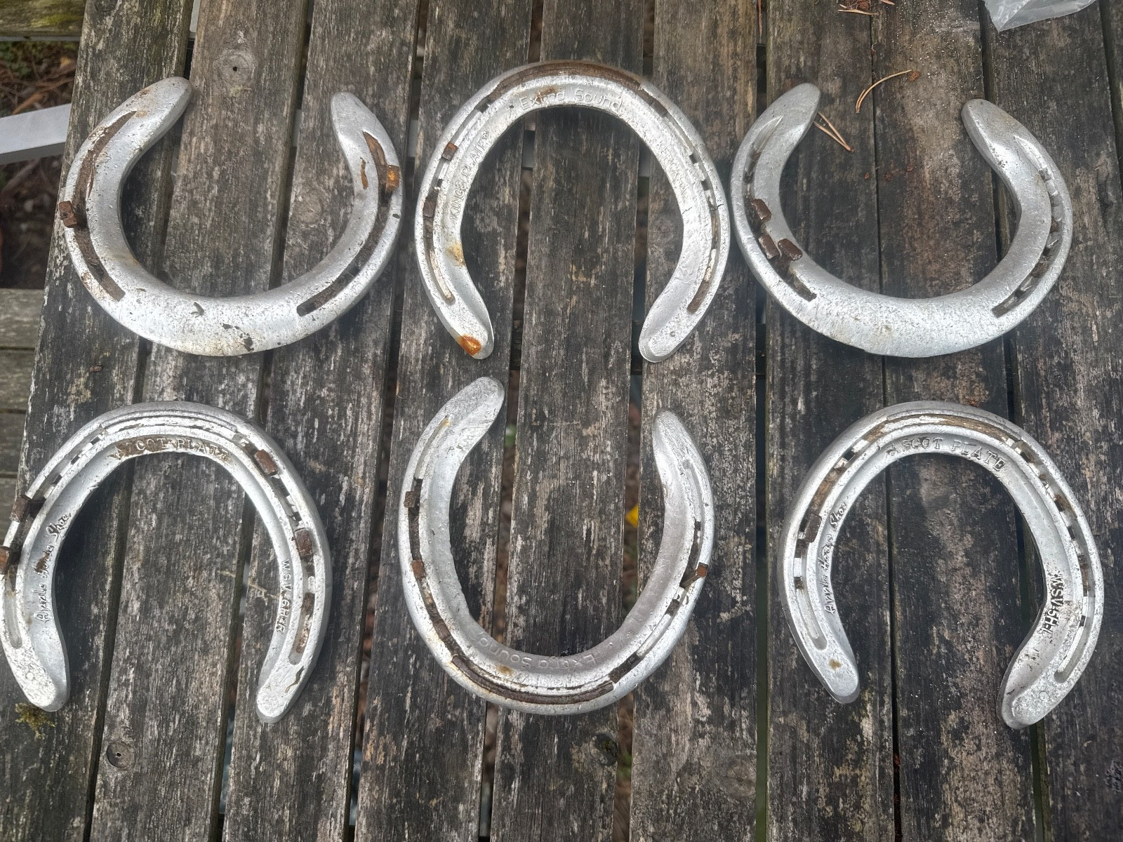 Aluminium Racehorse Horseshoe  - Used Lucky Horse Shoe Weddings / Anniversaries