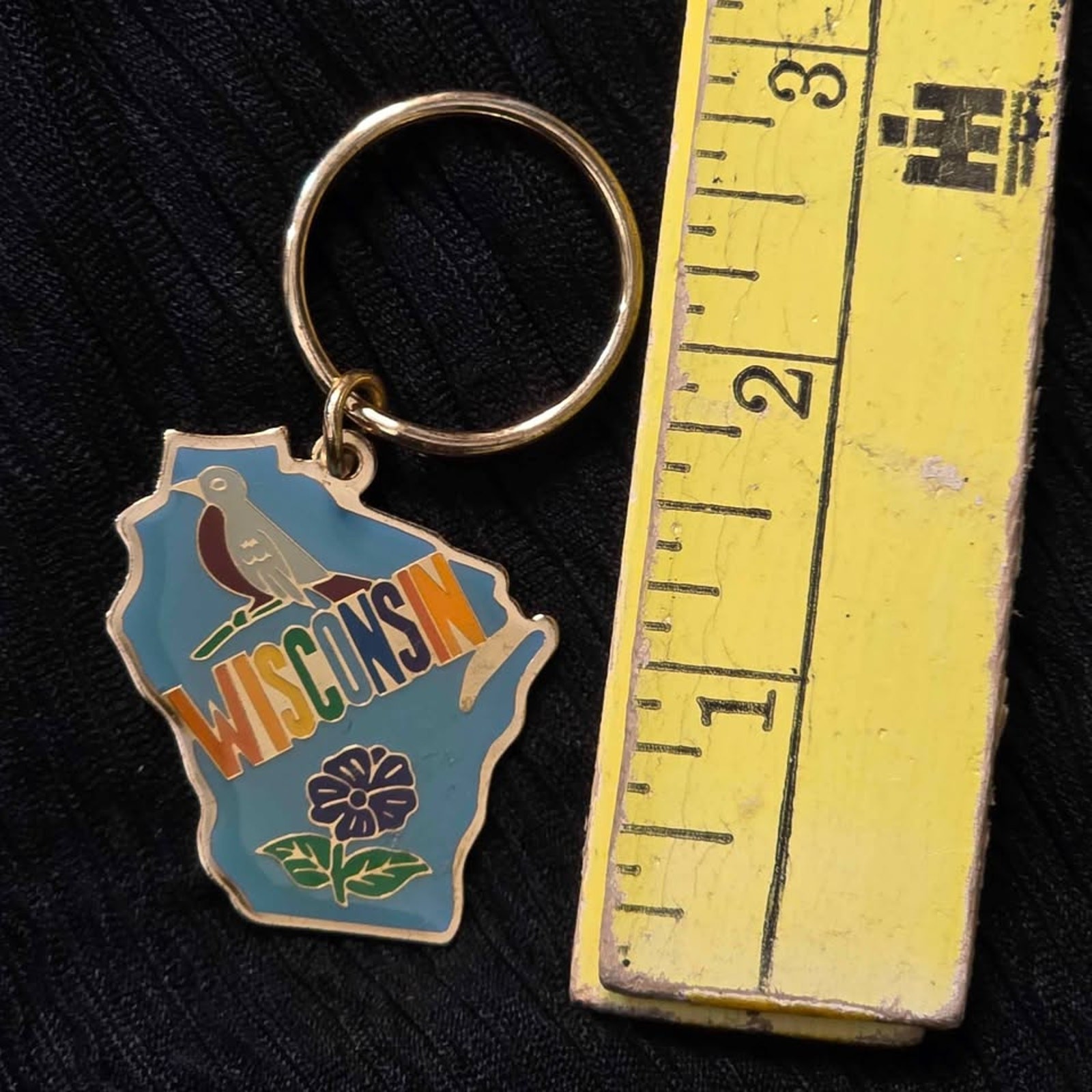Vintage Wisconsin State Enamel Keychain Robin Violet Souvenir Taiwan