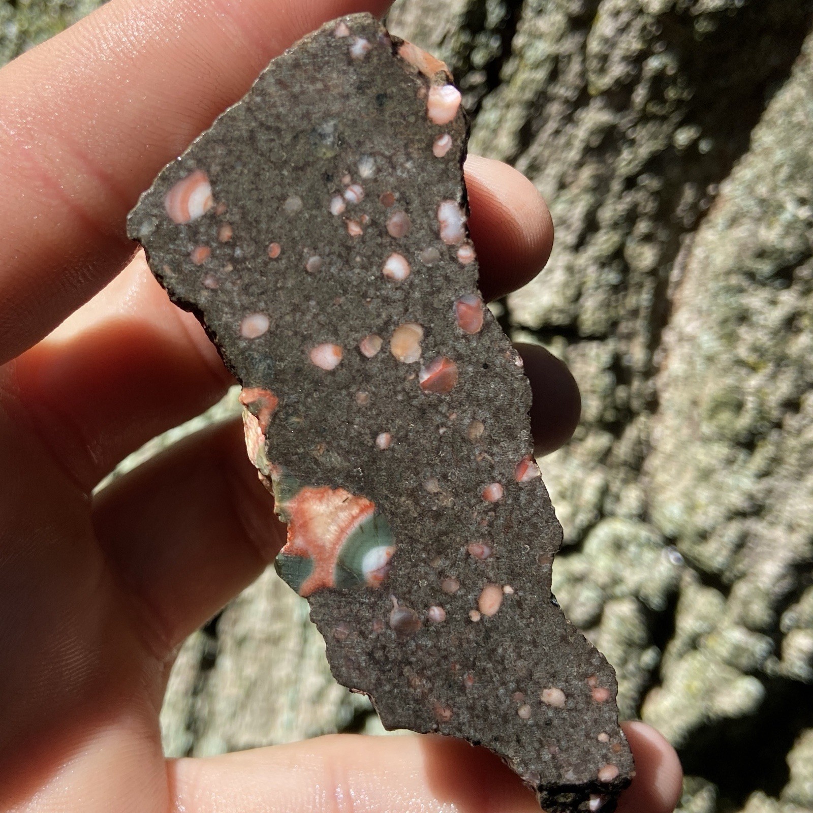 Amazing Thomsonite Michigan Lapidary Rough Agate Eyes 3.41 Oz