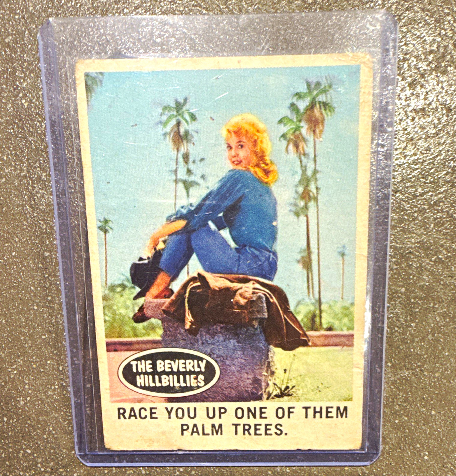 1963 Topps Beverly Hillbillies Hillbilly Gags #48 Palm Trees Jethro Elly May 1963 Topps Beverly Hillbillies Hillbilly Gags #48 Palm Trees Jethro Elly May