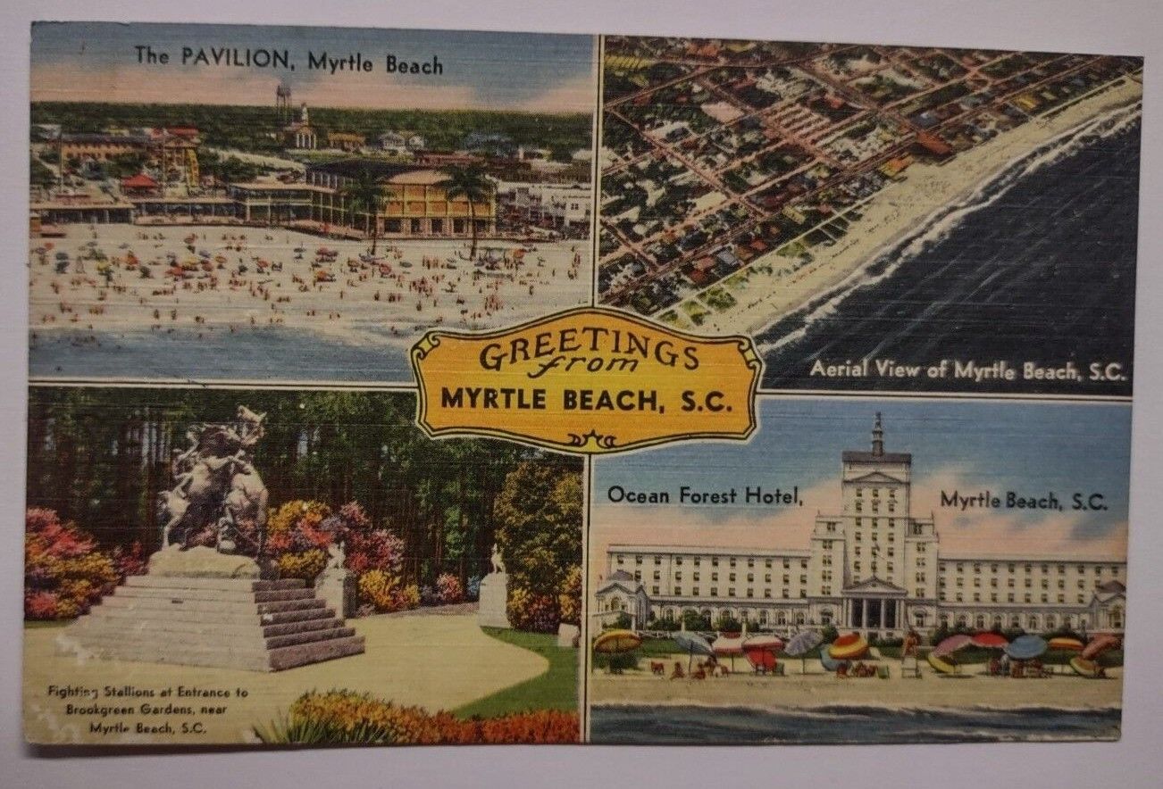 Vintage Greetings From Myrtle Beach South Carolina Linen Postcard 