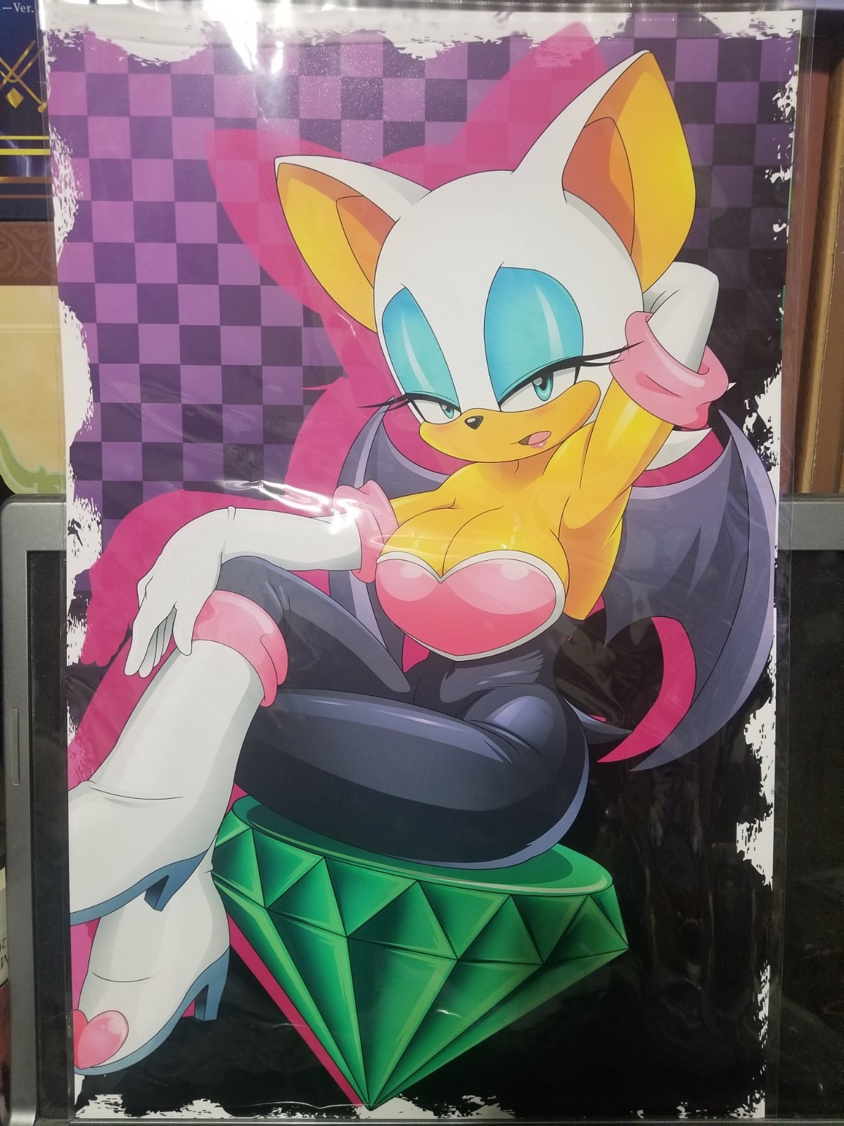 Sonic the hedgehog rouge the bat 13/19