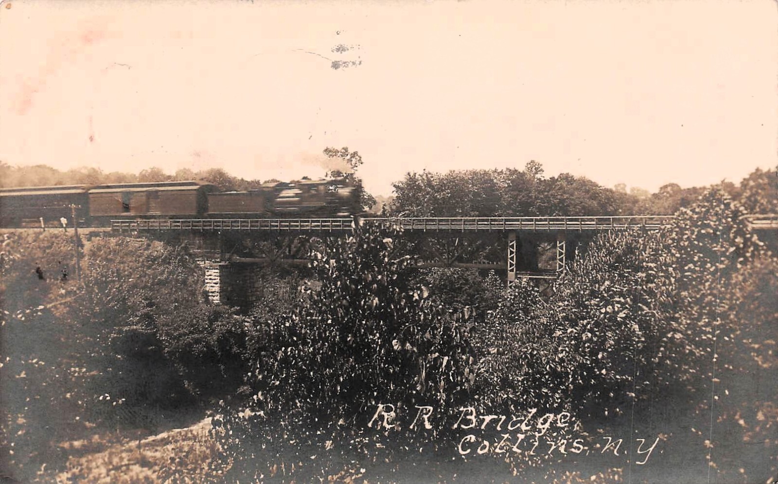 RPPC Collins NY New York Railroad Train Bridge Erie County Photo Postcard G60