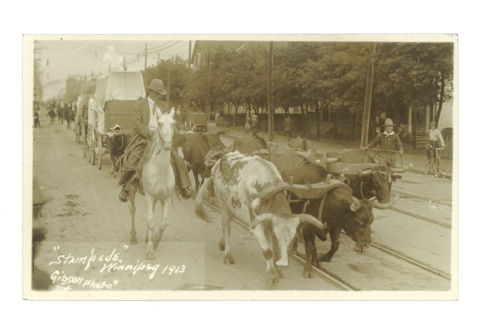 Stampede Winnipeg 1913 participants in the Winnipeg Stampede Old Photo