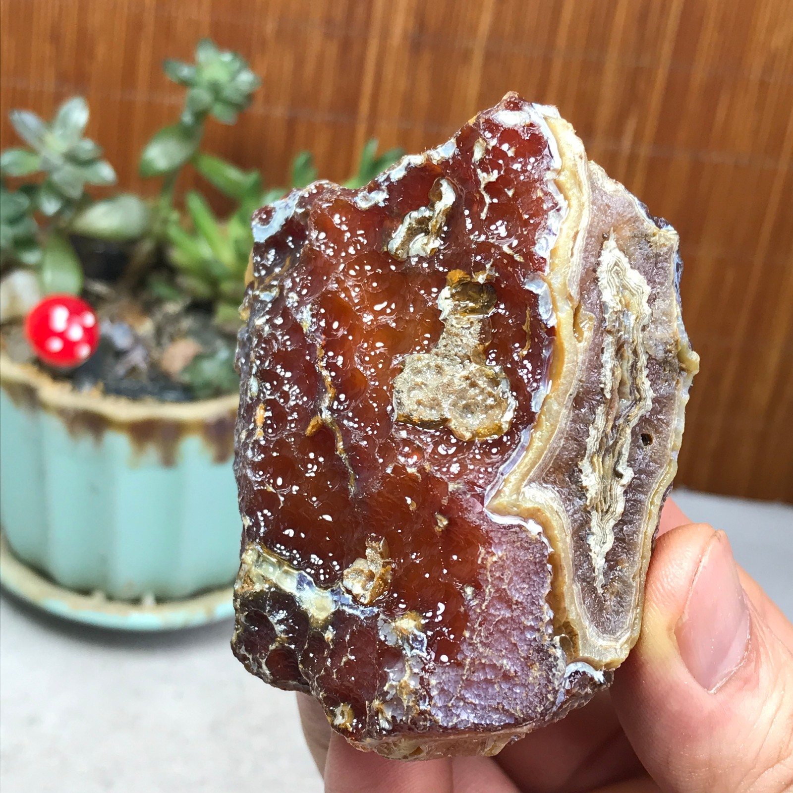 Natural Bonsai Suiseki Gobi Agate Eyes Stone-Stunning original View 167g A7323
