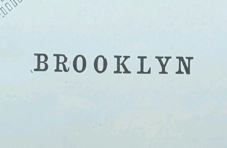 Vintage 1898 BROOKLYN NEW YORK Map 14