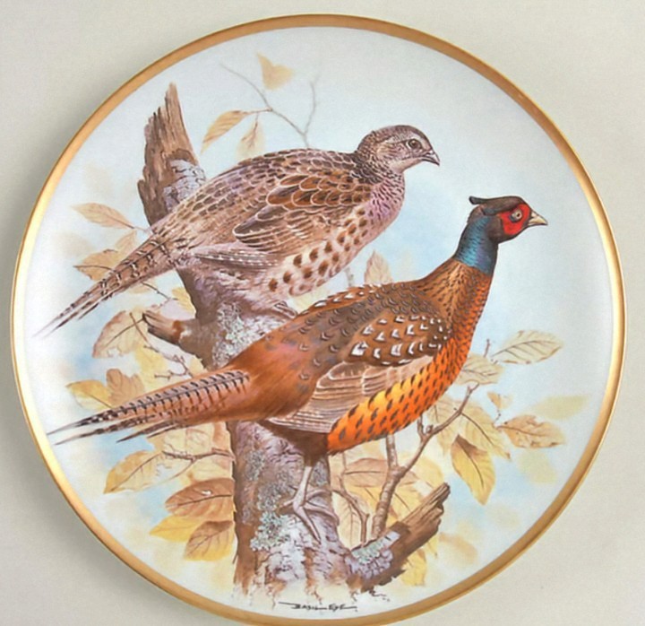 Lot of 8 Franklin Porcelain Game Birds of the World Plates 9\'\' Ltd Ed. Basil Ede