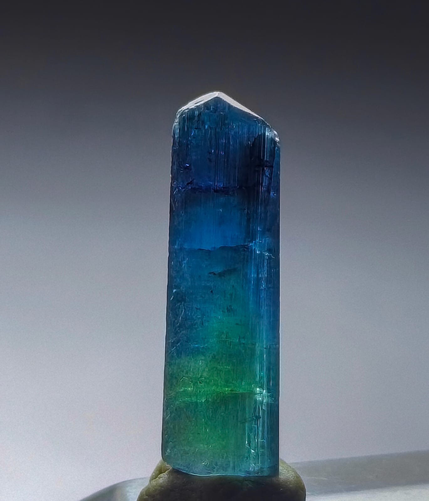 Natural Bi-Color Blue Green Tourmaline Crystal Collector Specimen