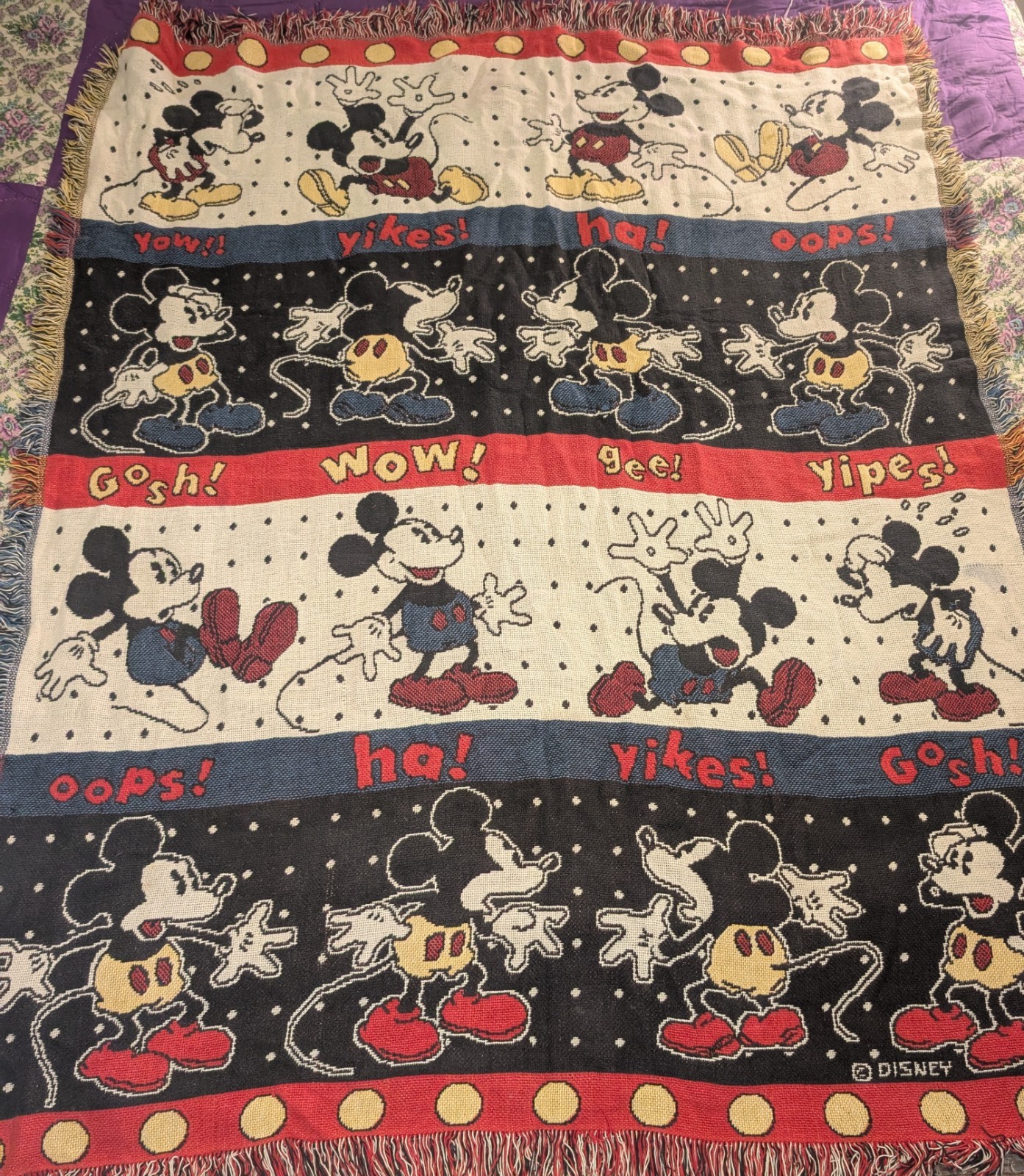 Vintage Mickey& Co Throw Blanket \
