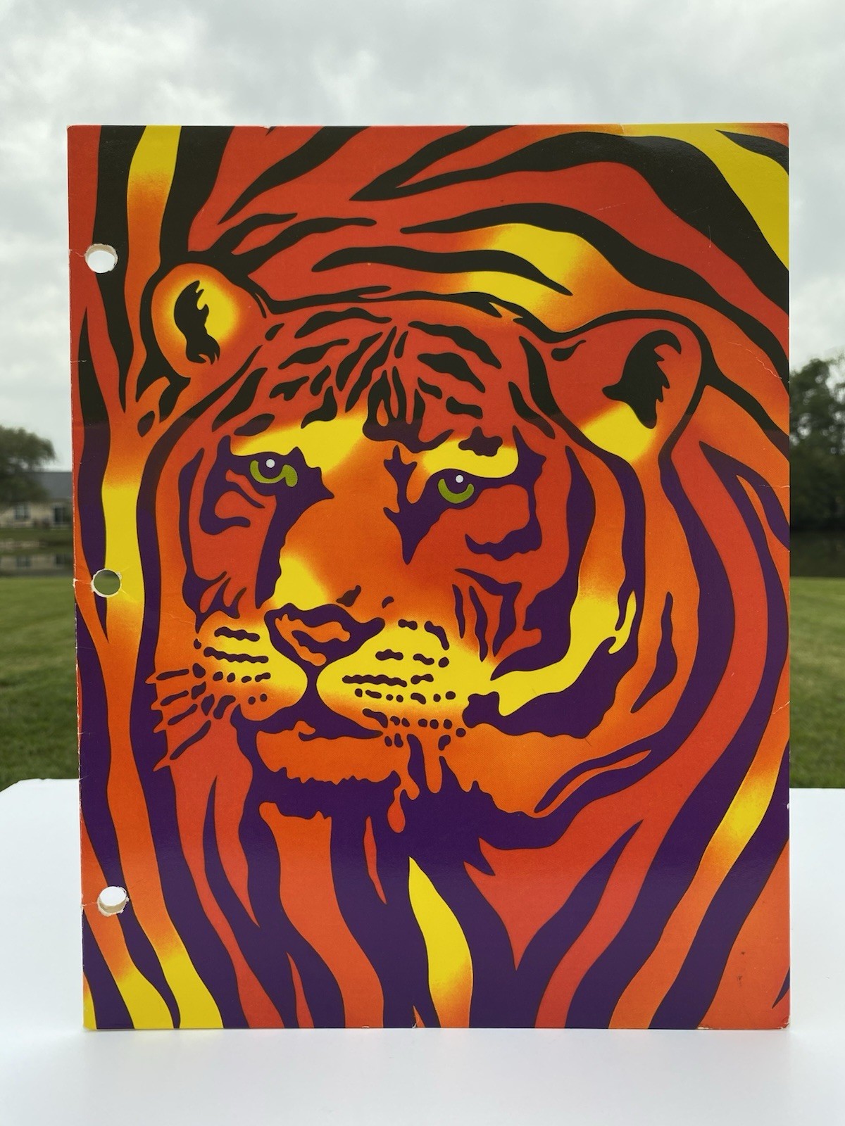 🌈 Vintage 1989 Lisa Frank Retro Tiger Blowouts 2 Pocket Folder Stuart Hall 80s