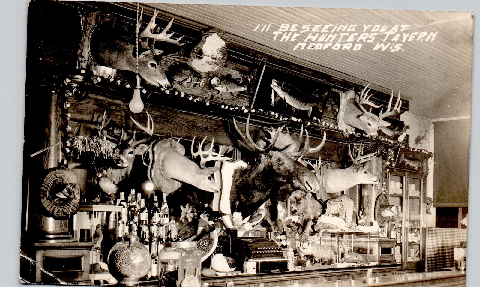 TAVERN TAXIDERMY medford wi c1940 postcard wisconsin real photo rppc saloon TAVERN TAXIDERMY medford wi c1940 postcard wisconsin real photo rppc saloon