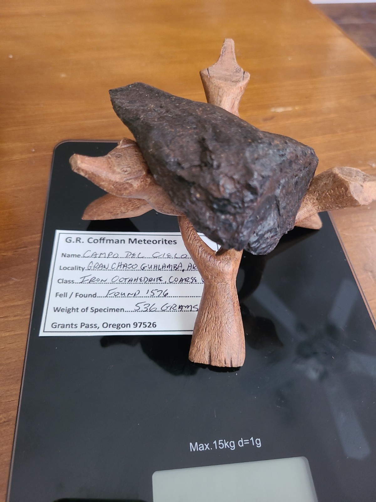 536 gram Large Campo del Cielo Iron Meteorite Specimen with Display Stand COA