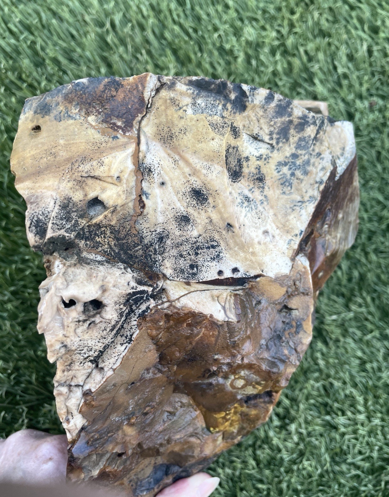 12.9 lb Biggs Picture Jasper  Lapidary Rough from Biggs, Oregon