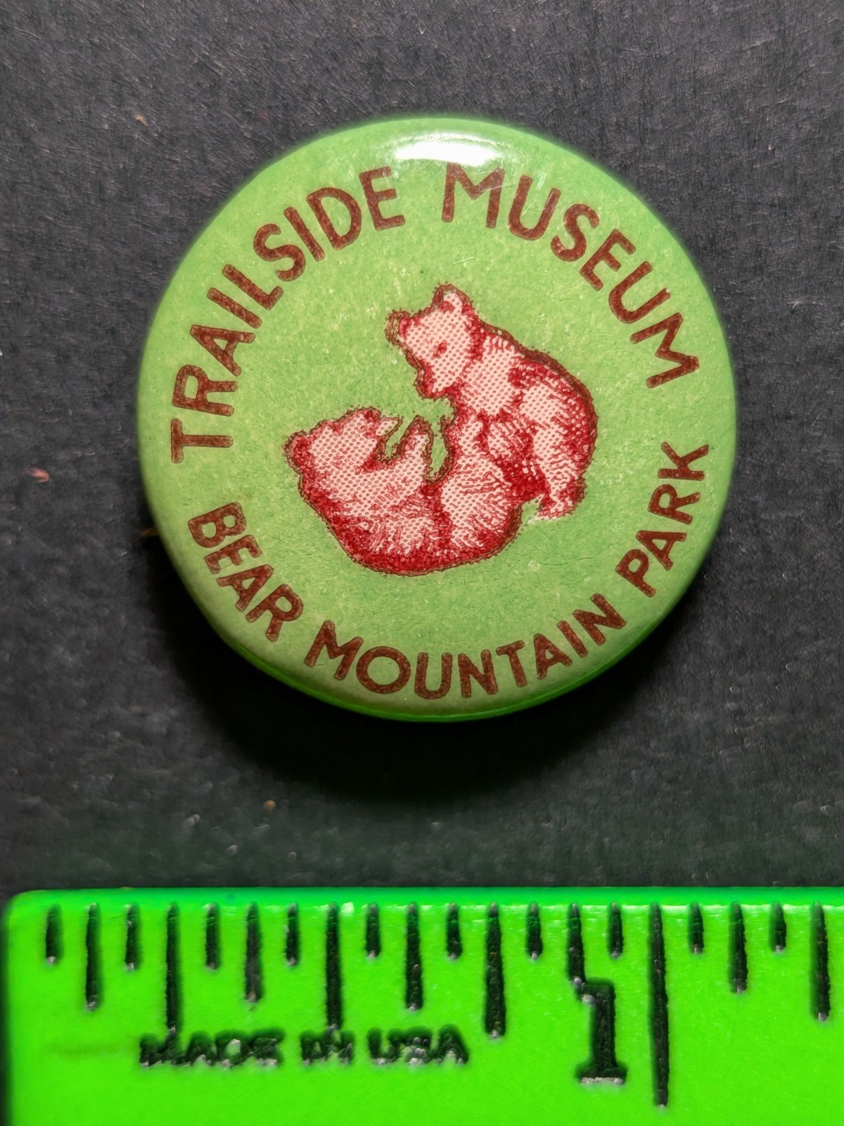 Vintage Bear Mountain Park Trailside Museum Pinback Pin