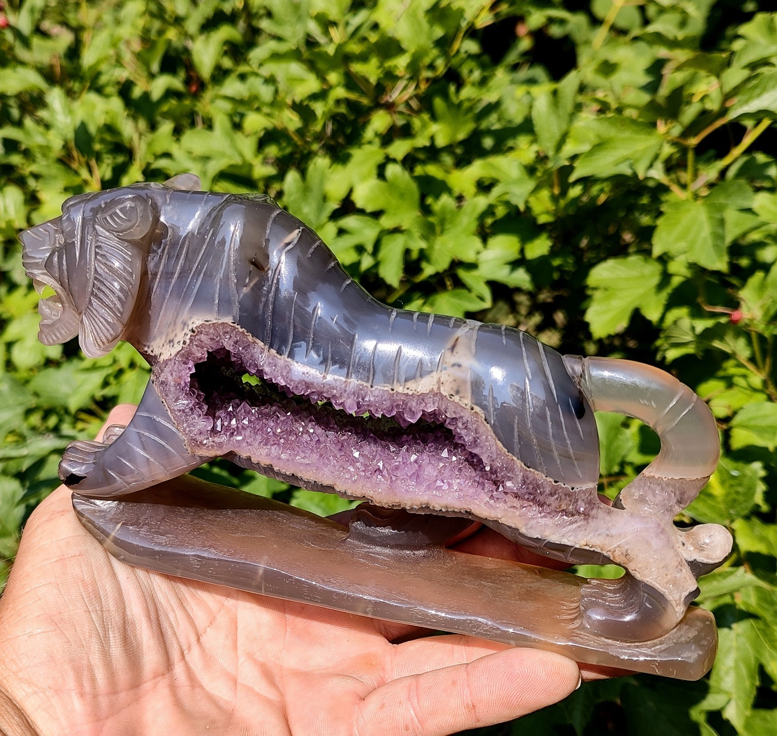 1lb12oz Outstanding Hand Carved Amethyst Agate Geode Tiger, Top Display Specimen