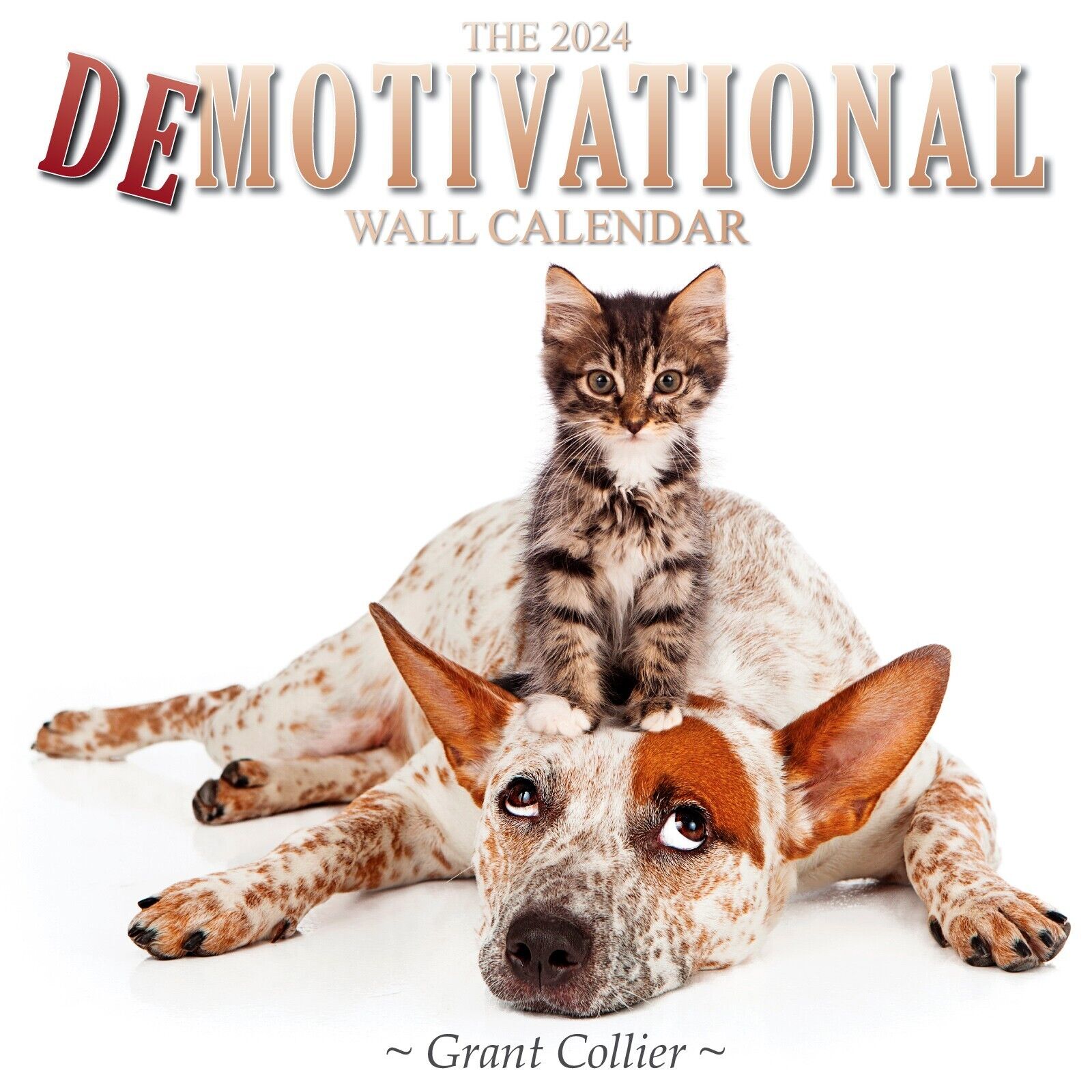 The 2024 Demotivational Wall Calendar (12"x12") funny and