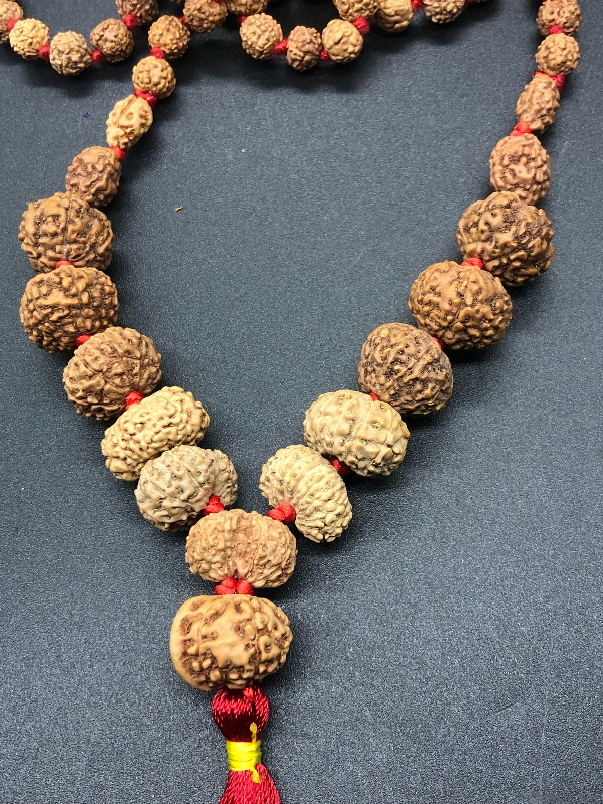 Rudraksha Siddha Mala (1-14 Mukhi, Ganesh, Gaurishankar) Lab Certified Indonesia