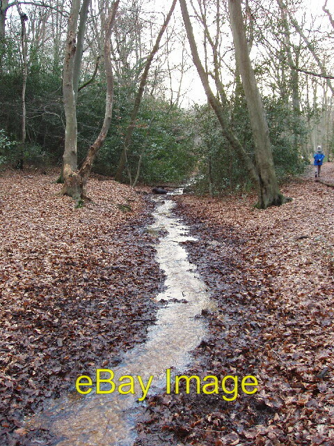 Photo 6x4 Stream in Burnham Beeches  c2006