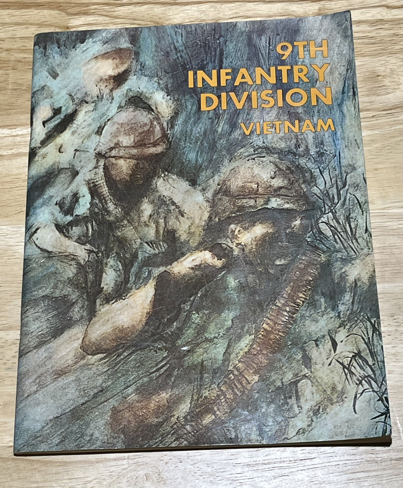 Rare 1969 9th Infantry Division Vietnam Combat Art Soldier Artwork Photography 