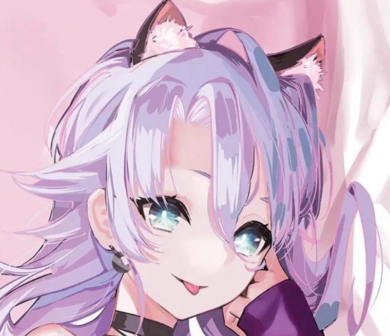 Phase Connect Shisui Michiru Dakimakura NEW