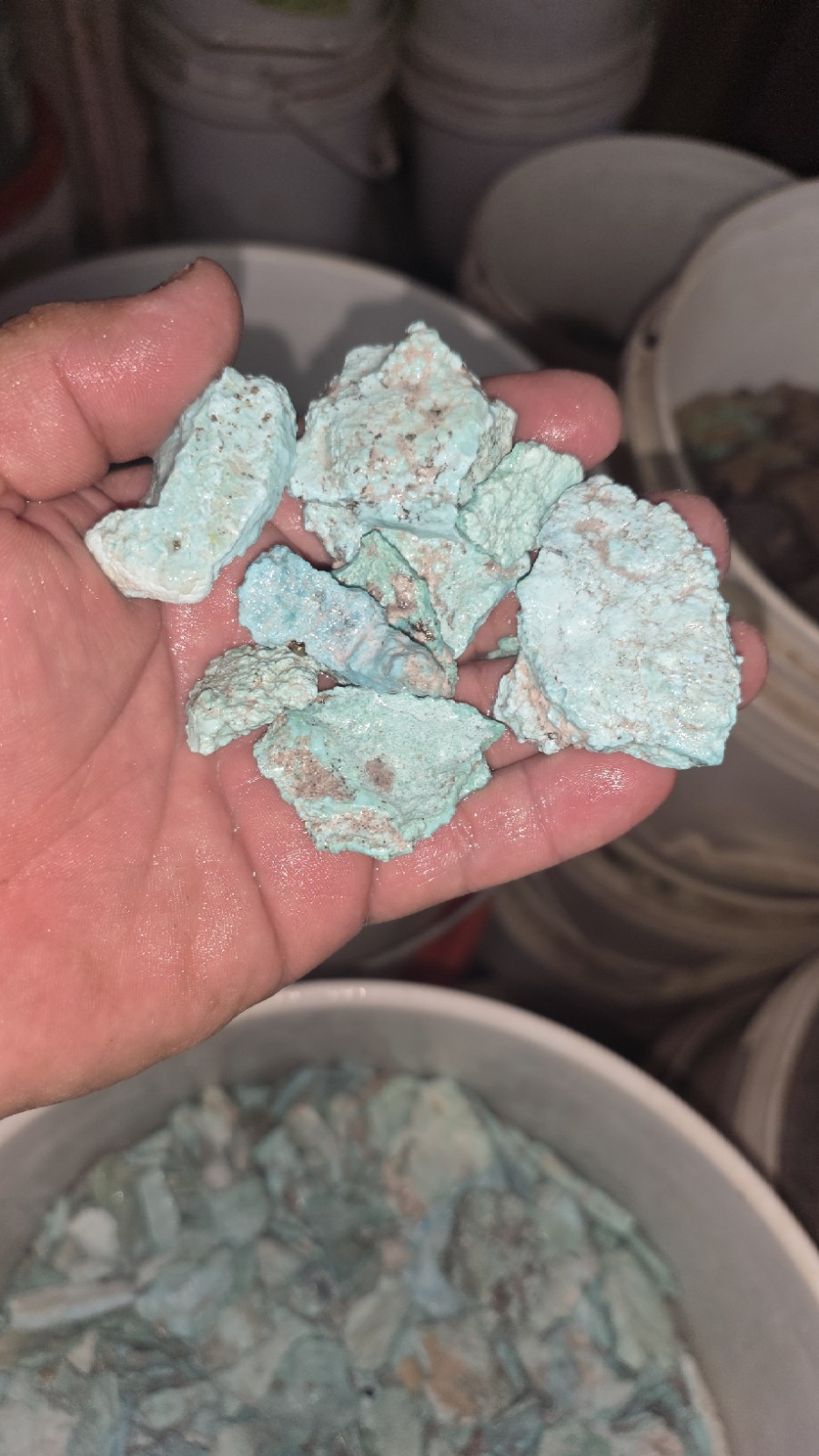 unstabilized bluegreen turquoise rough (By The Pound) 1/2 Inch to 1 inch sizes  