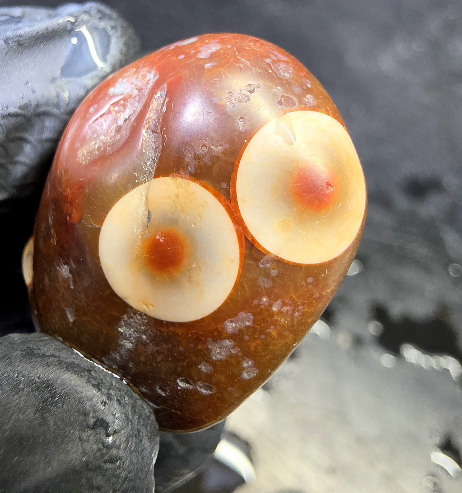 Collectors Specimen Lake Superior Orbicular Fortification Agate\