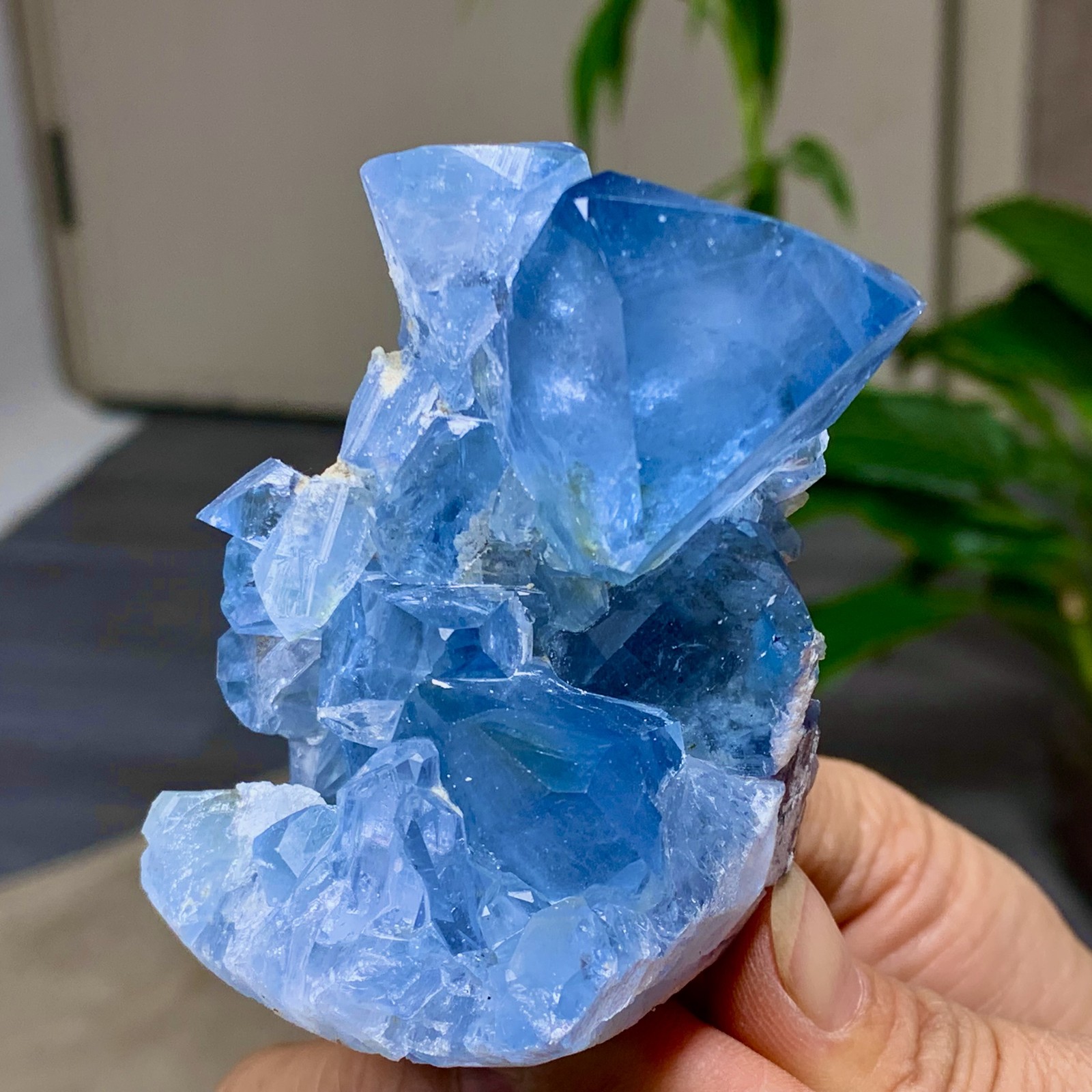 307G Natural Blue Celestite Geode Quartz Crystal Mineral Specimen Healing