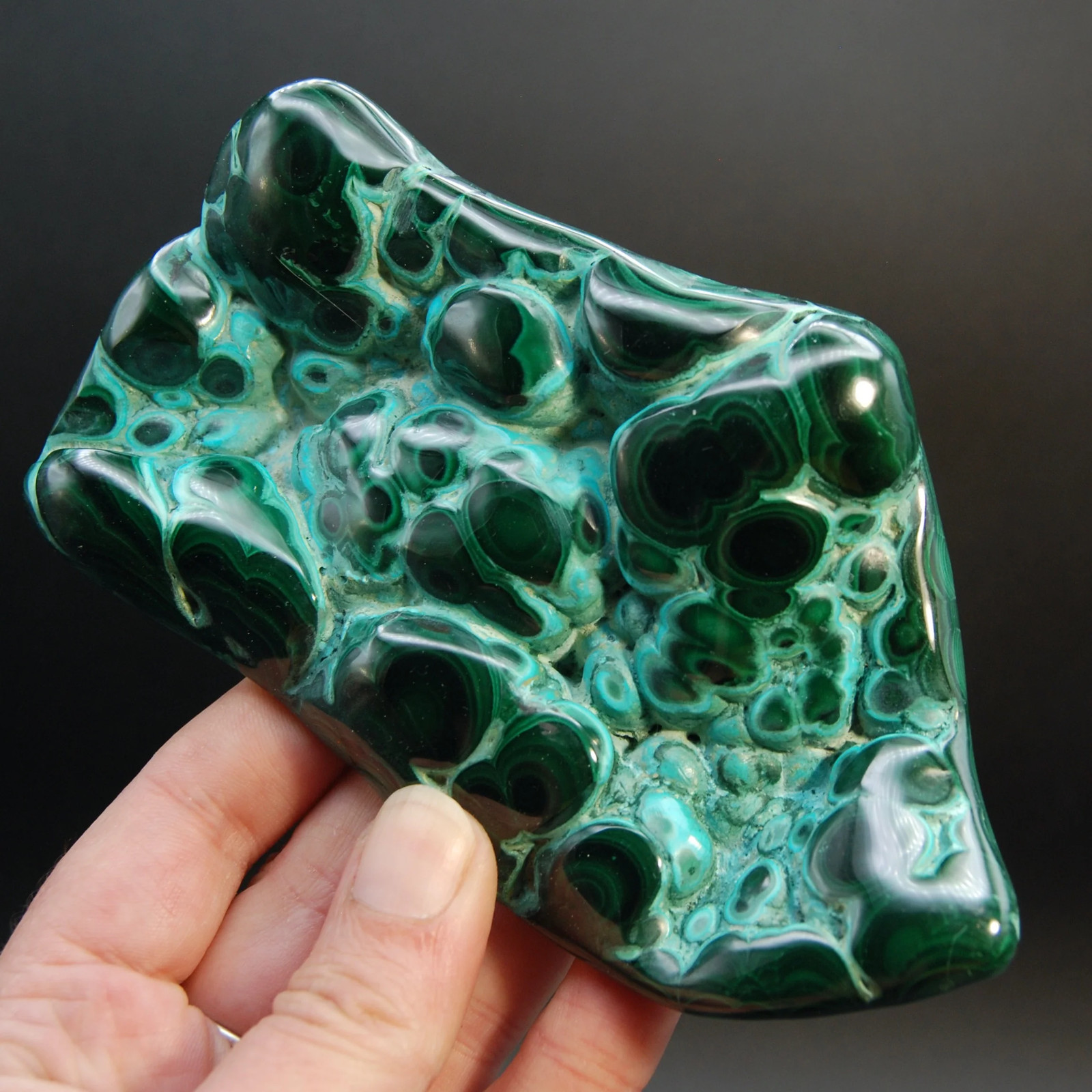 5.5in 1lb XL Malachite Chrysocolla Freeform Polished Crystal, Large Natural Muse