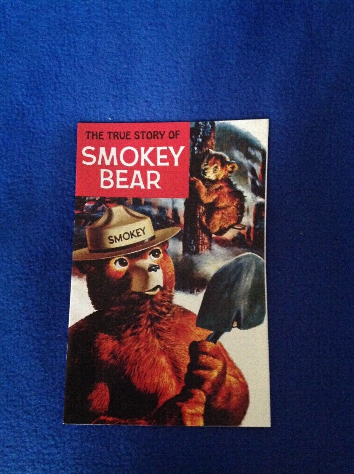 Vintage 1969 The True Story of Smokey The Bear Comic Book - New