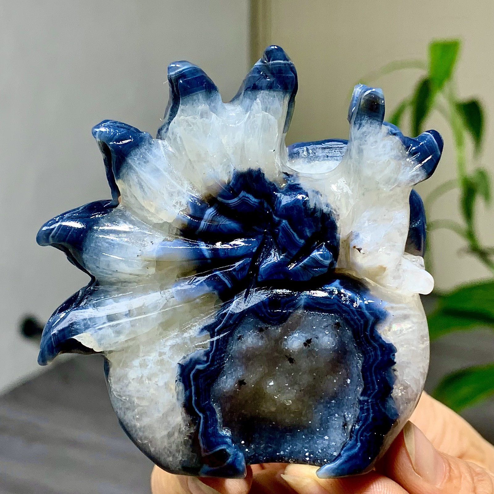 238G Natural black stripes Agate Crystal nine-tailed fox Quartz Healing