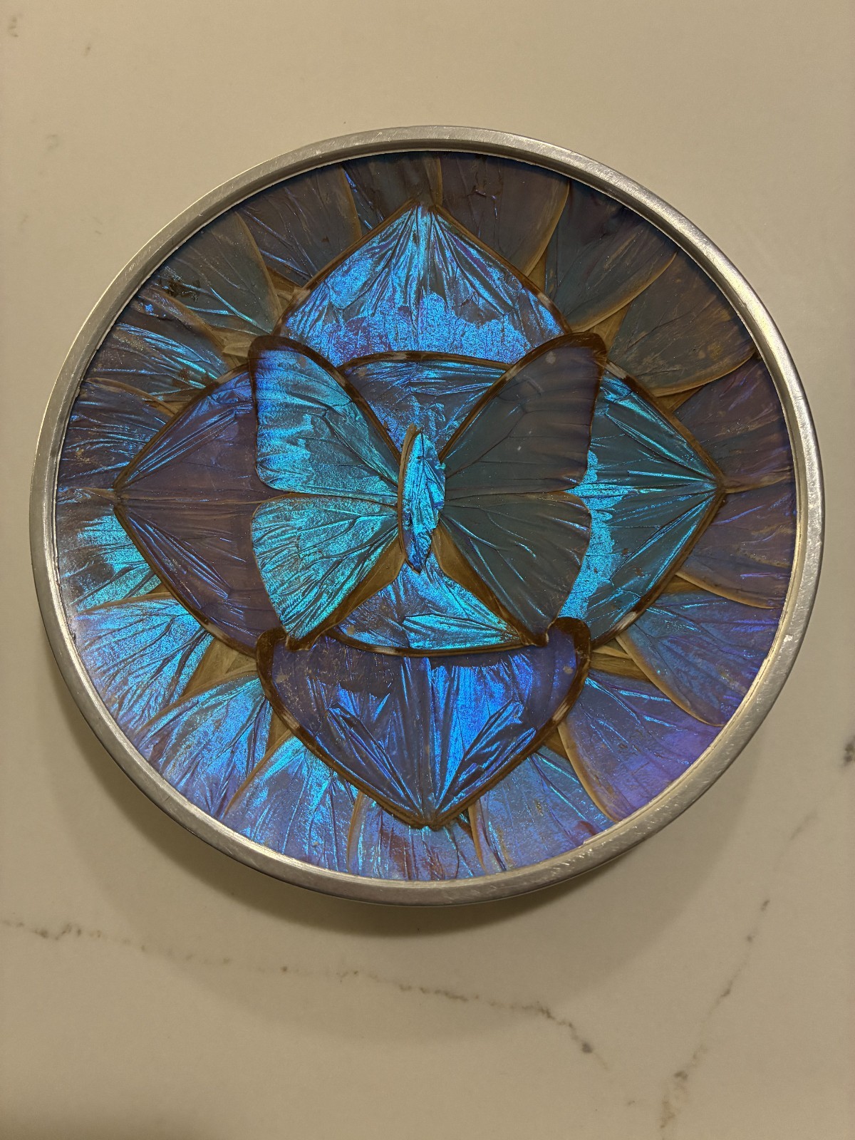 Vtg Beautiful Blue Morpho Butterfly Decorative Wall Hanging Trinket Dish 5 5/8