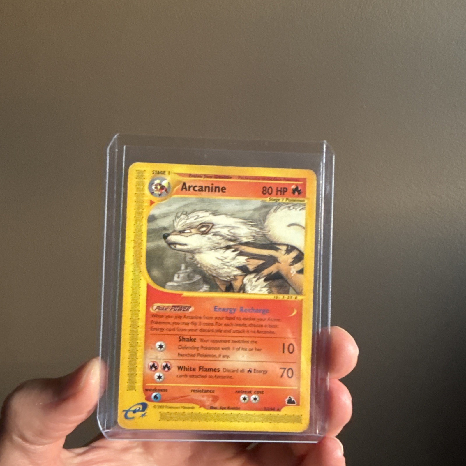 Arcanine Skyridge 3/144