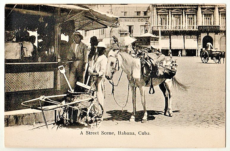 VINTAGE POSTCARD \ VINTAGE POSTCARD \