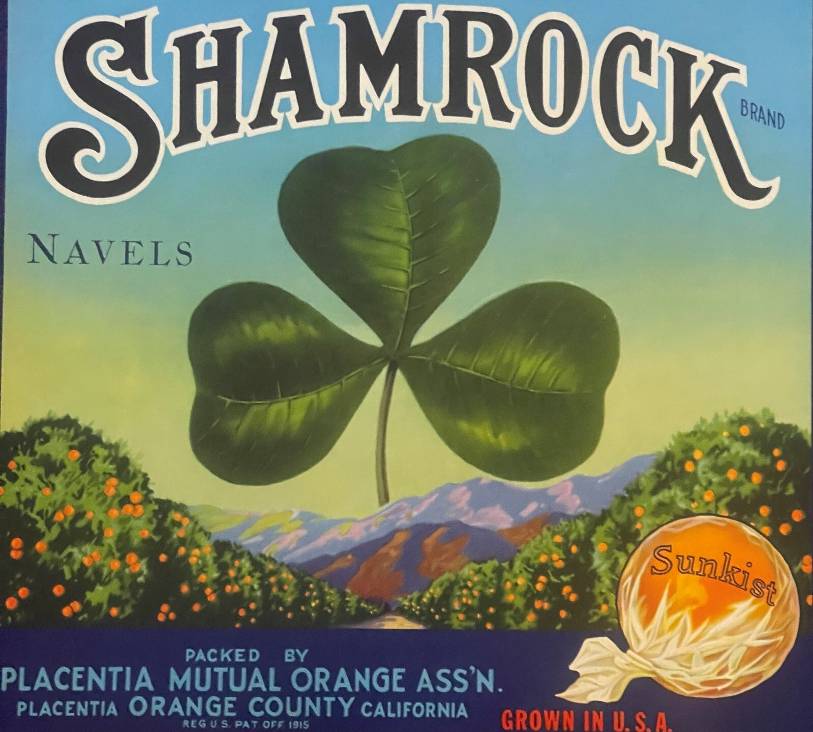 Antique Vintage 1930s Shamrock Sunkist Crate Label, Placentia, Orange County, CA