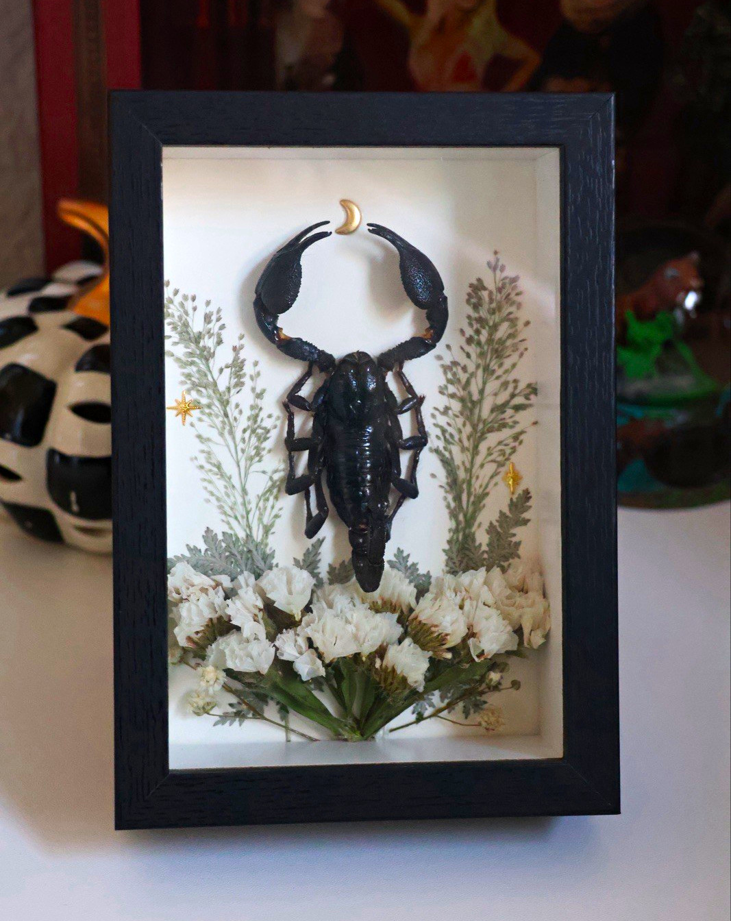 Real Emperor Scorpion Celestial Floral Shadow Box | Handmade Gothic Art