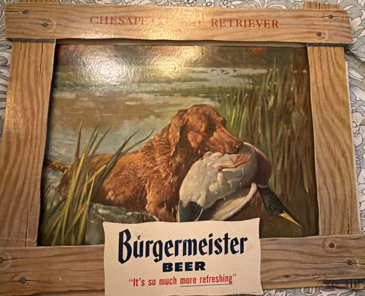 Vintage 1950s Bürgermeister Beer Sign Chesapeake Bay Retriever Duck Hunting Art
