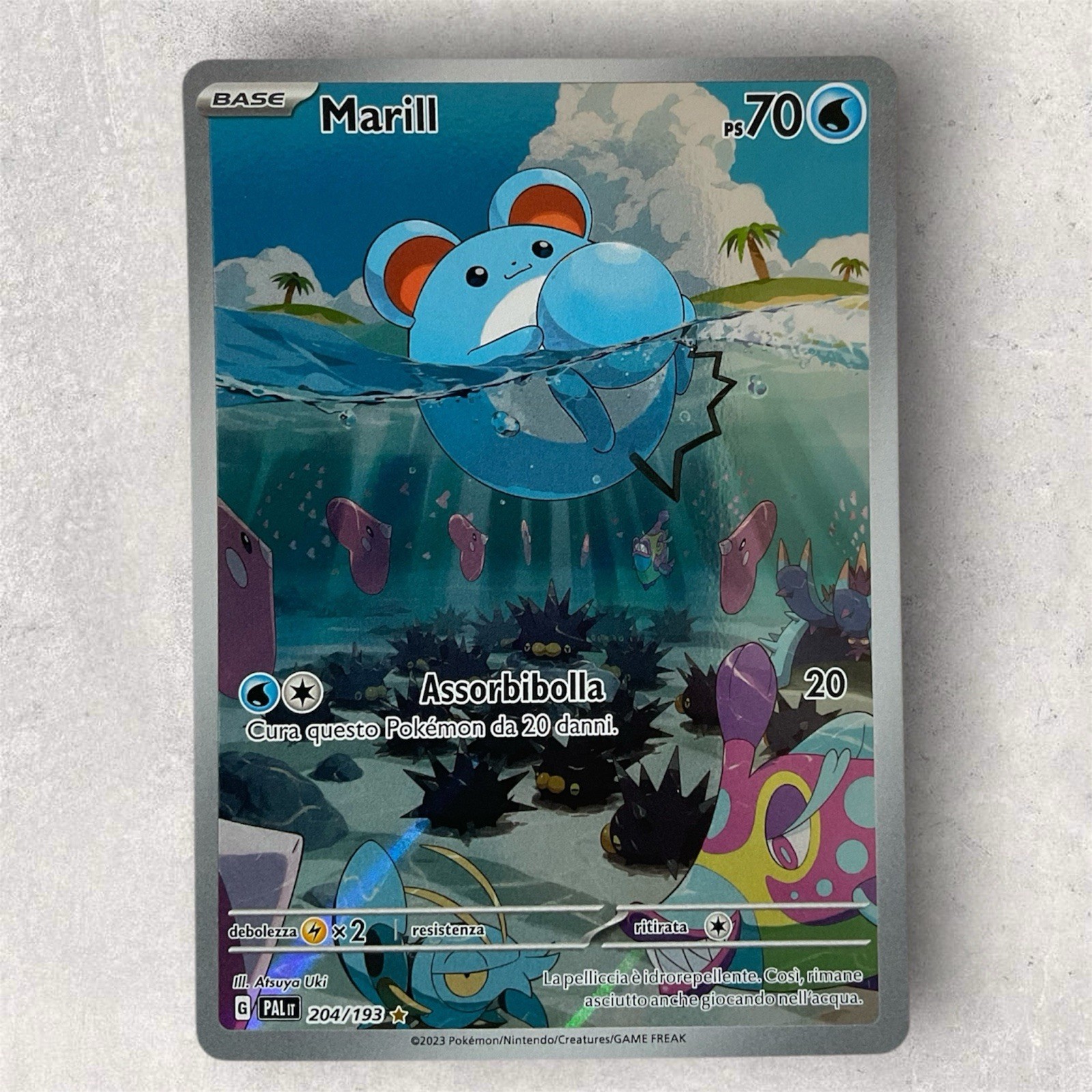 2023 Pokemon SV Paldea Evolved Marill #204/193