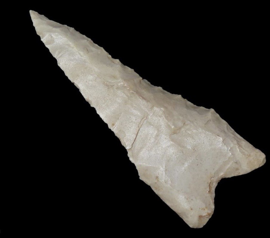 DALTON ARROWHEAD ILLINOIS ANCIENT AUTHENTIC NATIVE AMERICAN ARTIFACT 