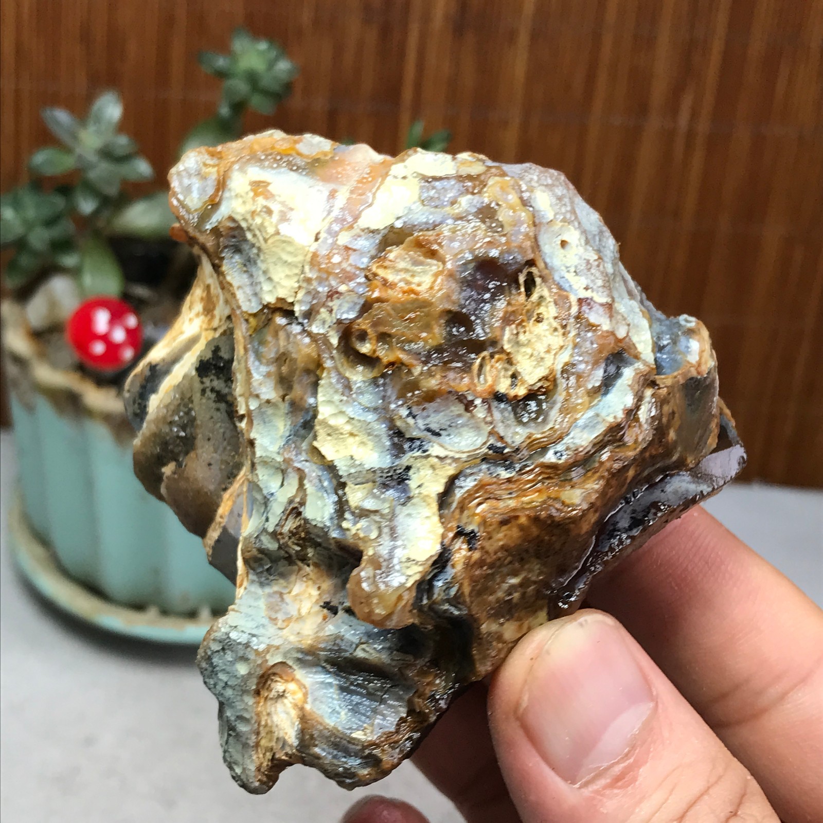 Natural Bonsai Suiseki Gobi Agate Eyes Stone-Stunning original View 222g A7331