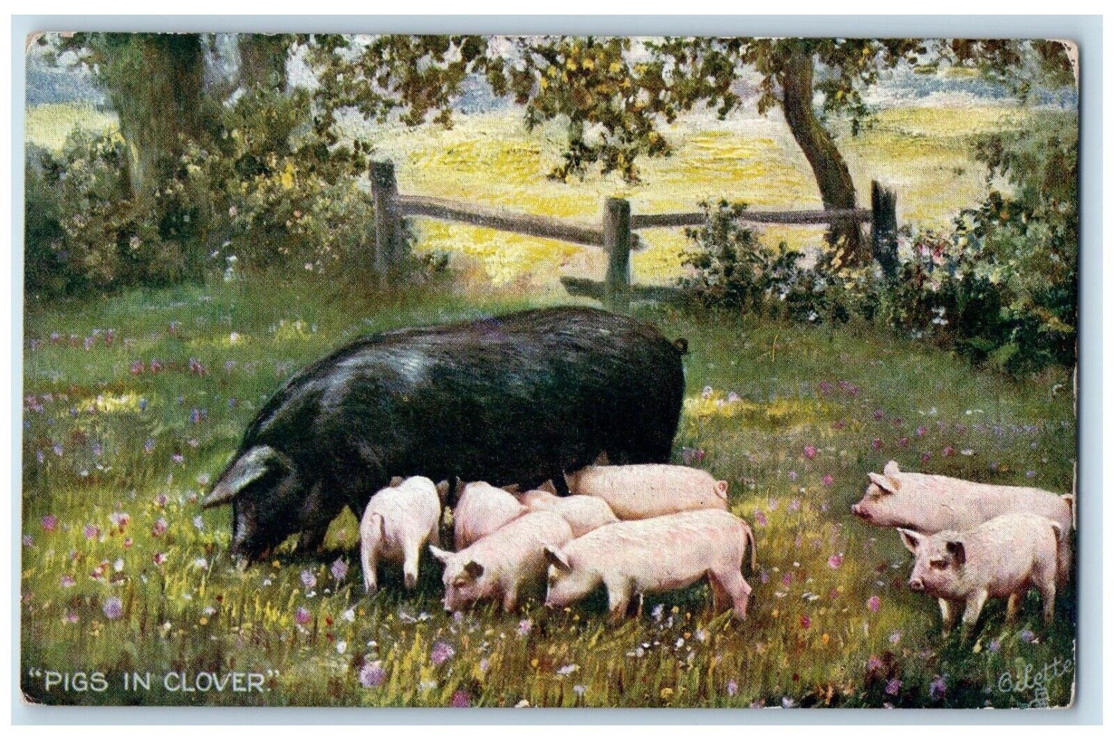 1907 Black and Pink Pigs in Clover Simple Life Oilette Tuck Art Postcard
