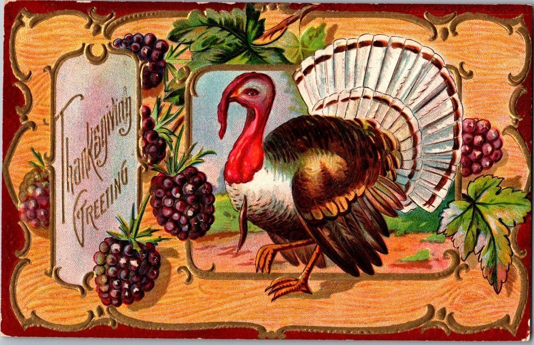 Vintage Victorian Postcard 1910 Thanksgiving Greeting - Turkey with Blackberries
