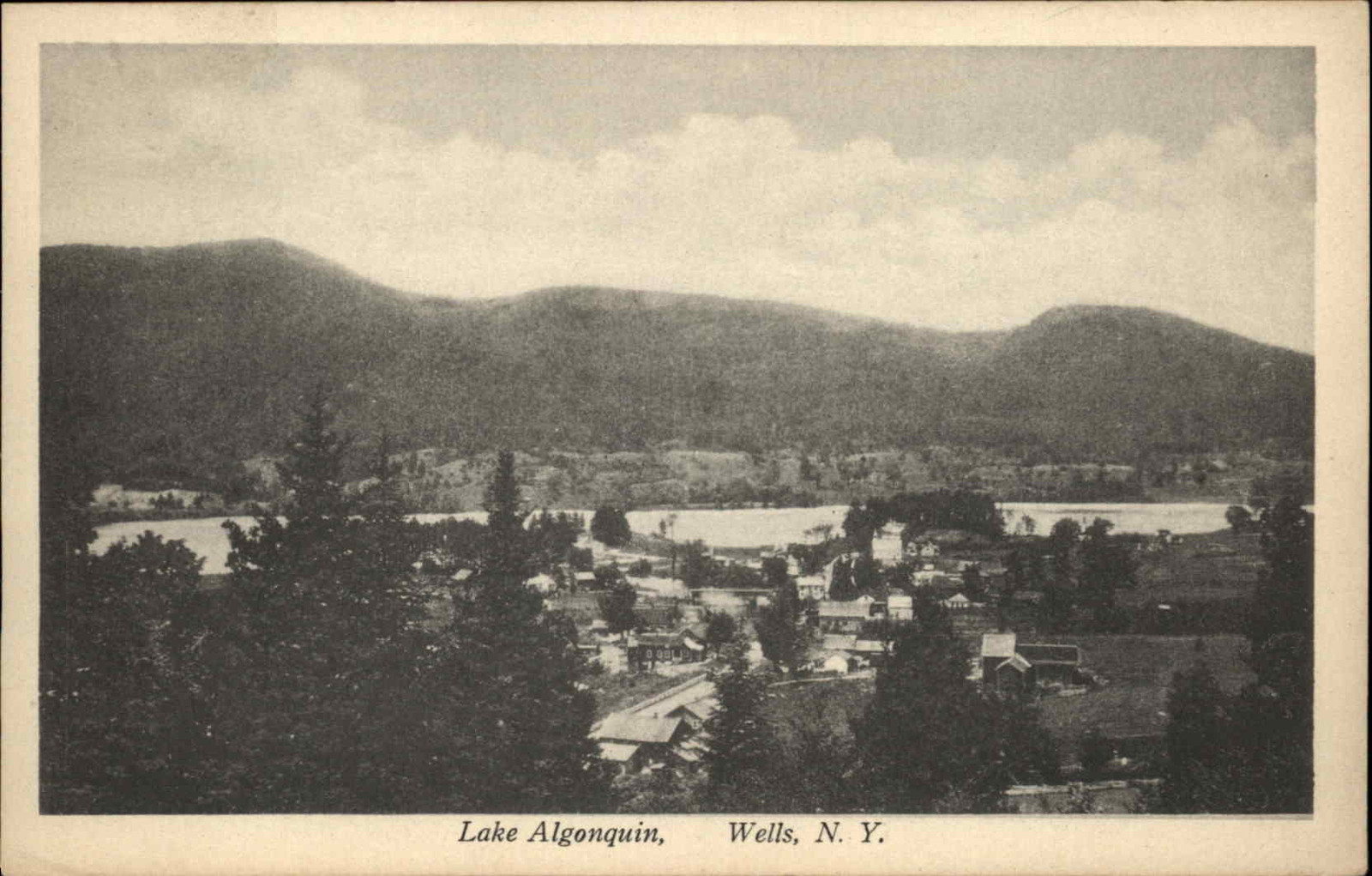 Wells New York NY Lake Algonquin Bird's Eye View c1920s-30s Postcard