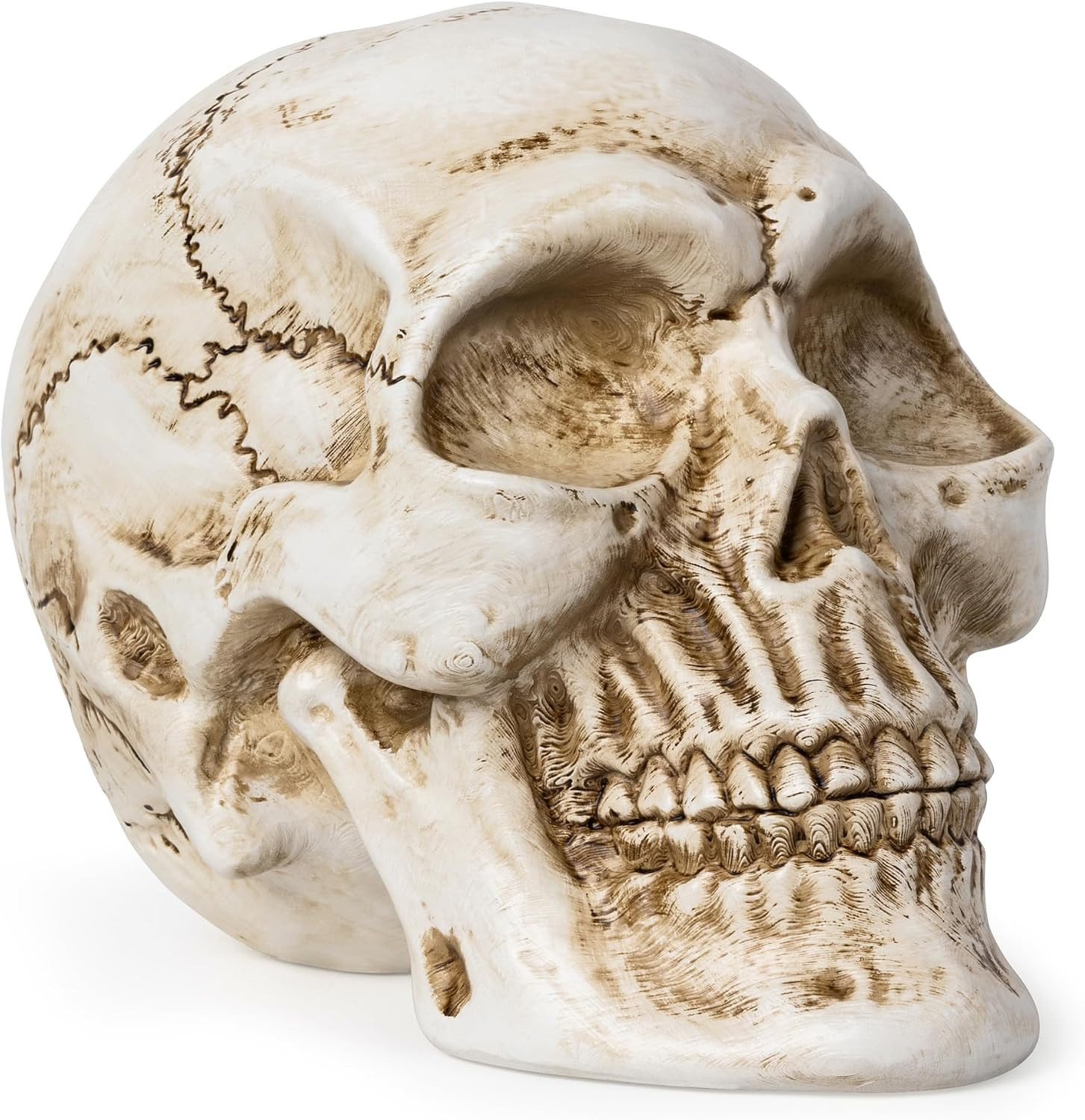 Resin Skull Statue, Human Head Model for Home Decoration, Halloween Statue, Skul