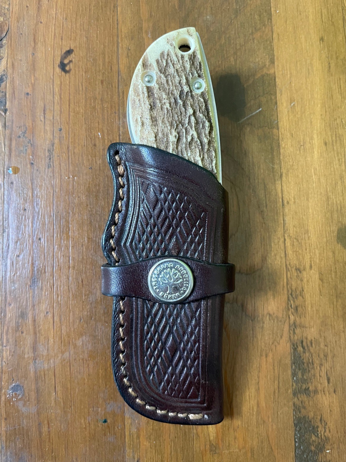 Vintage Boker Arbolito Argentina Large Stag Hunter Knife 5