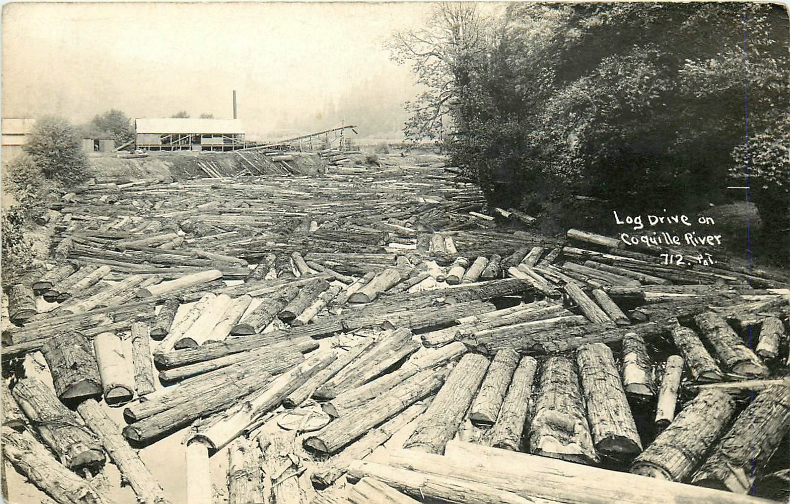 1940s Coquille River, Oregon Lumber Sawmill Patterson RPPC Postcard 26-2493