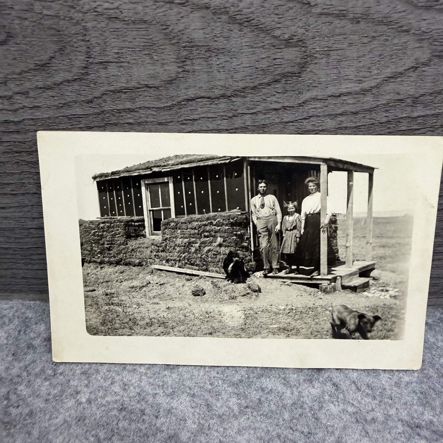 Vintage RPPC Pioneer Family Sod House Homestead Photo Postcard Azo 1900s