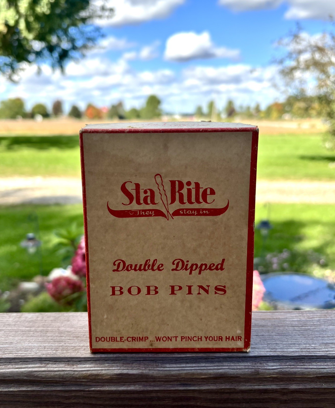 Vintage 1950s Sta-Rite Bob Pin Counter Display Box- Double Dipped-12 Cards-24 Ea