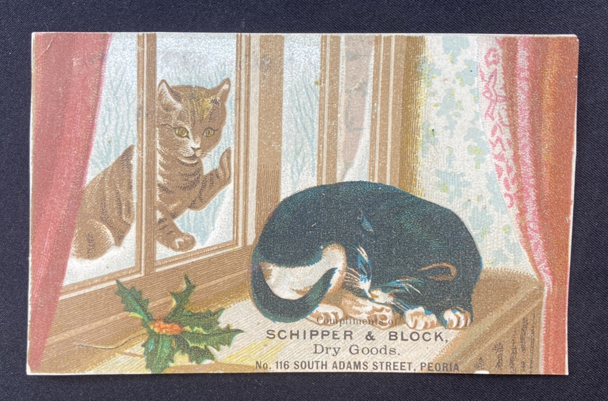 1890s Victorian Stock Trade Card ~ Cats ~ Schipper & Block Dept Store Peoria IL