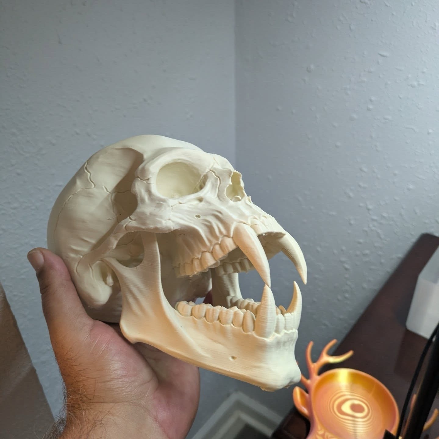 Cool Vampire Skull