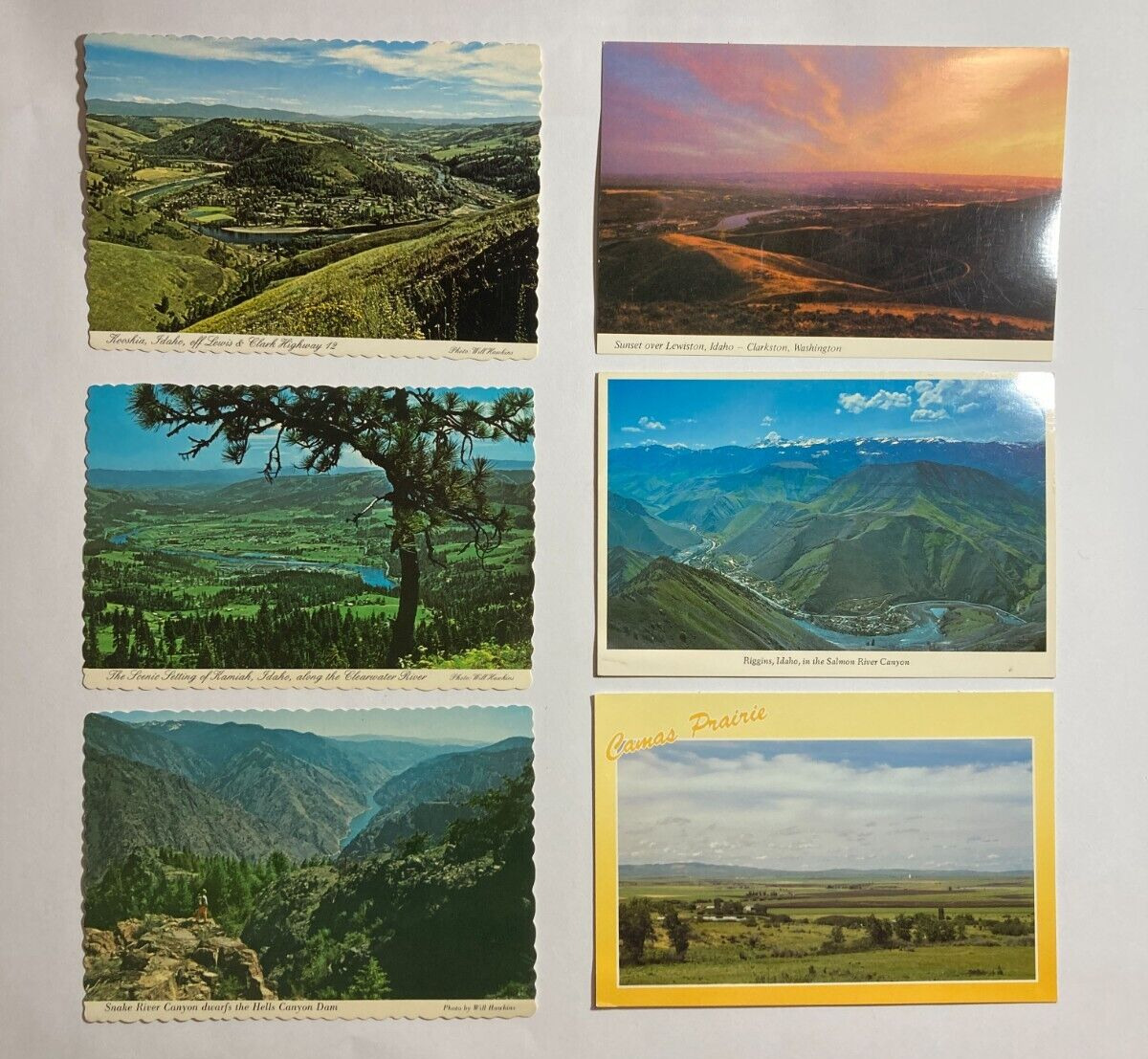 Lot of 6 Idaho Postcards: Kooskia, Lewiston, Riggins, Grangeville, Kamiah, Camas